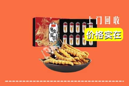 呼中区回收冬虫夏草